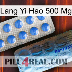 Lang Yi Hao 500 Mg 40